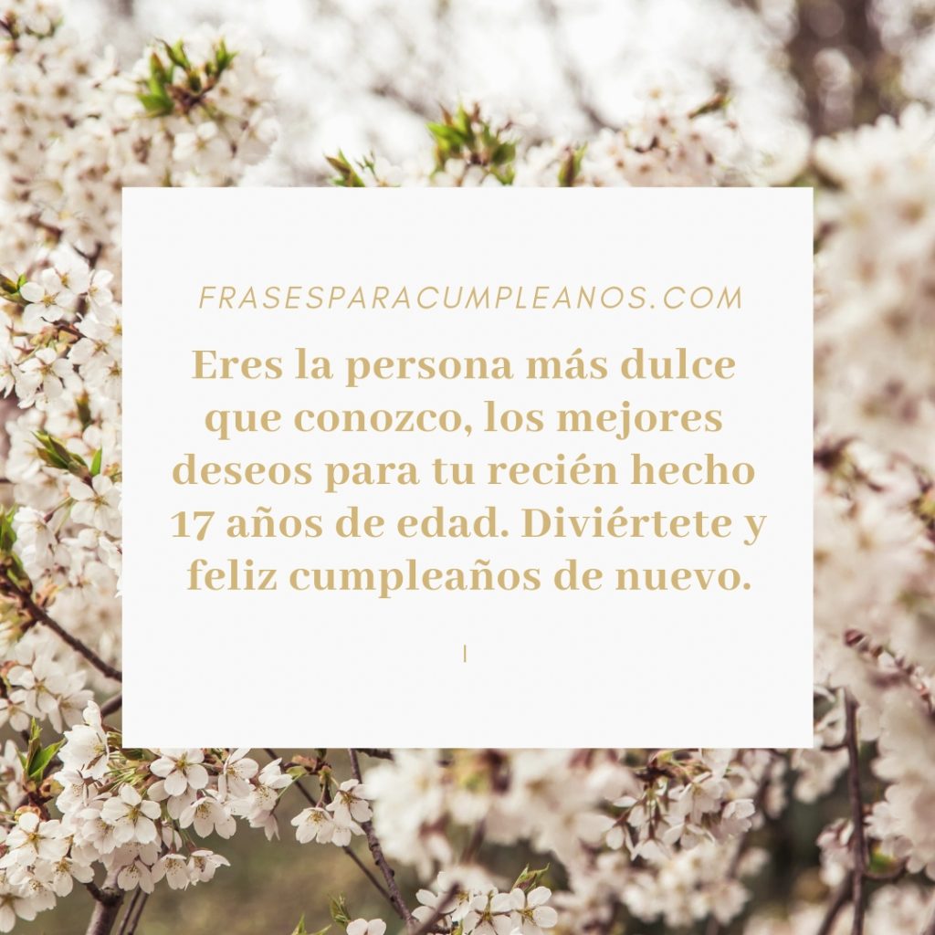 Felicitaciones de cumpleaños 17 años Diecisiete frasescumple Felicitaciones de cumpleaños 17 años Diecisiete frasescumple
