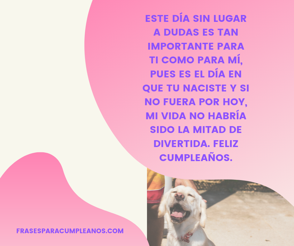 Felicitaciones De Cumpleaños Graciosas Para Amigos Locos - Frases Cumple