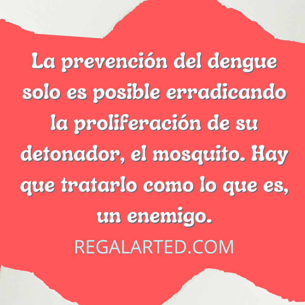 Frases para prevenir el dengue